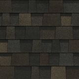 Black Sable
