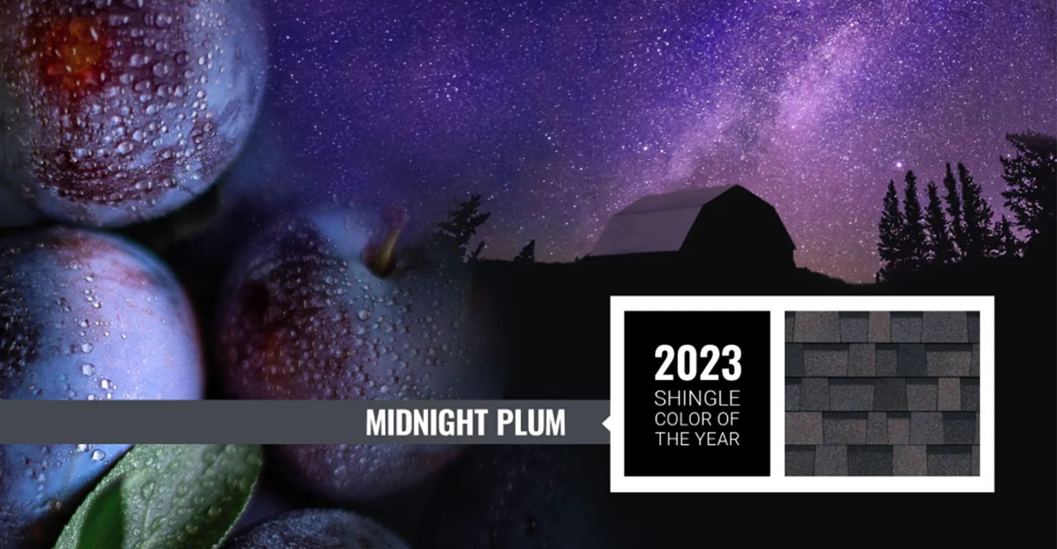 midnight plum scoty copy 1