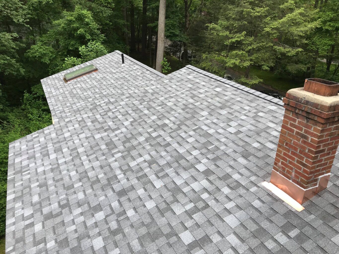 IMG 0510